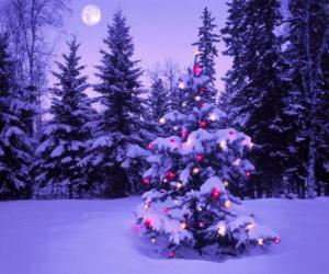 Puzzle de Abetos de Navidad en un paisaje nevado y con la luna en el cielo