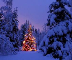 Puzzle de Abetos de Navidad en un paisaje nevado