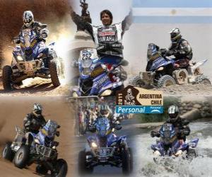 Puzzle de Alejandro Patronelli campeón en quads Dakar 2011
