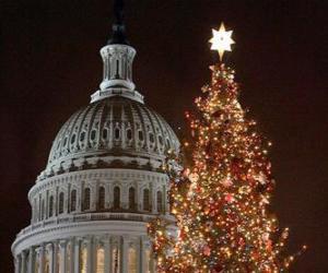 Puzzle de árbol de Navidad del Capitolio