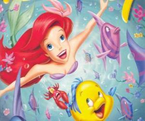 Puzzle de Ariel, la sirenita nadando alegremente con sus amigos Flounder y Sebastián