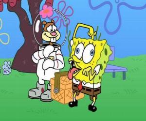 Puzzle de Bob Esponja junto a Arenita