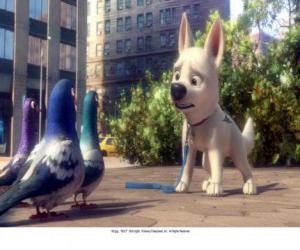Puzzle de Bolt en Nueva York hablando con las palomas del parque