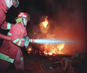 Puzzle de Bombero en acción con la manguera apagando un incendio