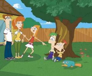 Puzzle de Candance acusa a Phineas y Ferb de algún invento ante sus padres