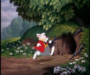 Puzzle de El conejo entra en una madriguera