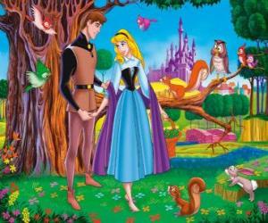 Puzzle de El príncipe Felipe se encuentra con Rosa cantando por el bosque y se enamoran aunque desconociendo sus identidades