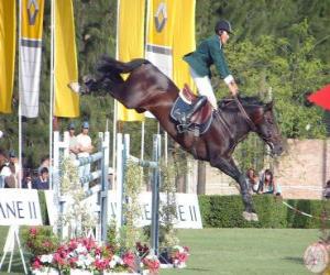 Puzzle de Equitación - Caballo y jinete en la prueba de salto