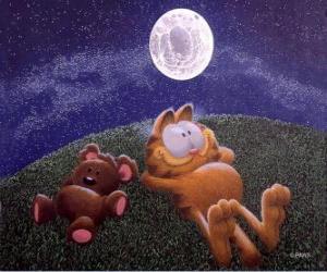 Puzzle de Garfield descansando bajo la luz de la luna junto a su gran amigo Pooky un osito de peluche