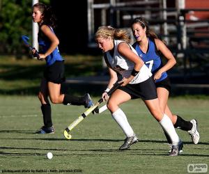 Puzzle de Hockey sobre hierba - Jugadora con el palo o stick conduciendo la pelota