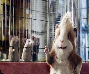 Puzzle de Hurley, un glotón conejillo de Indias de la tienda de animales que se une al equipo de agentes de G-Force