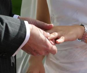 La mano de la novia con el anillo y la mano del novio