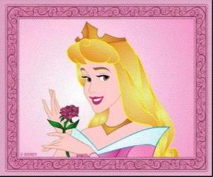 Puzzle de La princesa Aurora