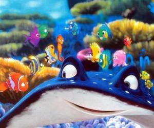 Puzzle de Nemo y sus amiguitos de la escuela bajo la protección del Maestro Raya