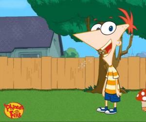 Puzzle de Phineas Flynn, un chico de 11 años muy inteligente y hermanastro de Ferb