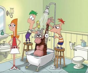 Puzzle de Phineas y Ferb, duchan a un gorila mientras Candance les observa