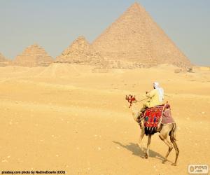 Puzzle de Un camello frente las pirámides, monumentos funerarios del Antiguo Egipto