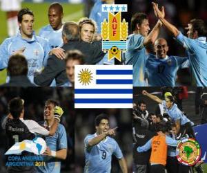 Puzzle de Uruguay finalista, Copa América Argentina 2011