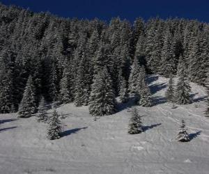 Puzzle de Abetos de Navidad en un paisaje nevado
