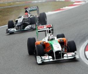 Puzzle de Adrian Sutil - Force India - Shanghai 2010