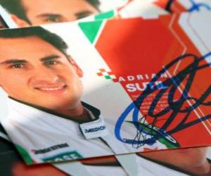 Puzzle de Adrian Sutil - Force India - Gran Premio de Hungría 2010