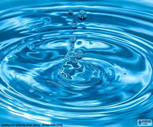 Puzzle de Agua