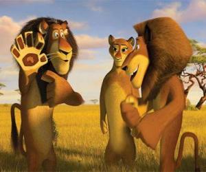 Puzzle de Alex, encuentra a sus padres