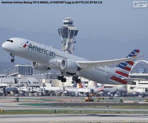 Puzzle de American Airlines
