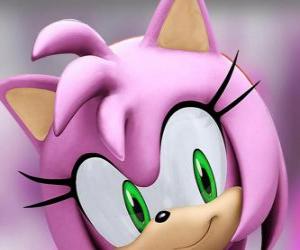 Puzzle de Amy Rose es una eriza rosa de ojos verdes, está locamente enamorada de Sonic