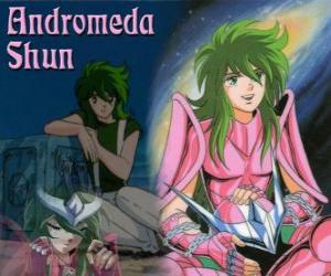 Puzzle de Andromeda Shun, el Santo de bronce de la constelación de Andrómeda