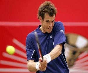Puzzle de Andy Murray preparado para un golpe