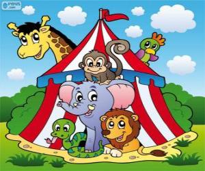 Puzzle de Animales del circo