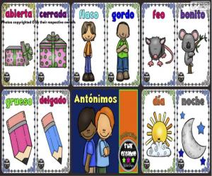 Puzzle de Antónimos