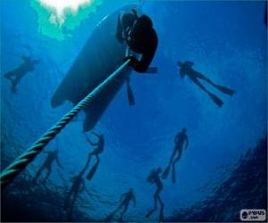 Puzzle de Apnea o buceo libre