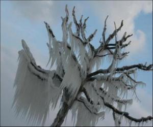 Puzzle de Árbol después de la helada