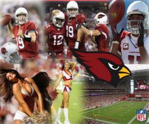 Puzzle de Arizona Cardinals