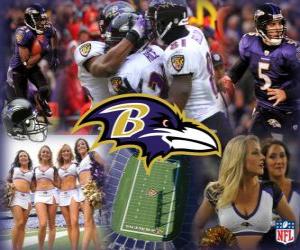 Puzzle de Baltimore Ravens