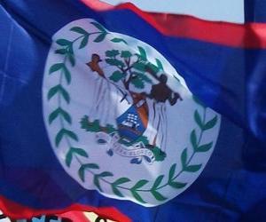 Puzzle de Bandera de Belice