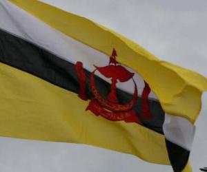 Puzzle de Bandera de Brunei