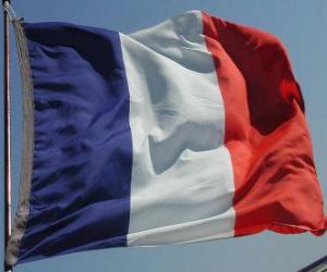 Puzzle de Bandera de Francia