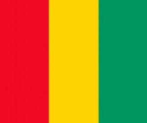 Puzzle de Bandera de Guinea