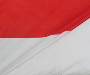 Puzzle de Bandera de Indonesia