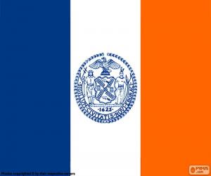 Puzzle de Bandera de Nueva York