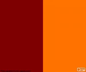 Puzzle de Bandera de Roma