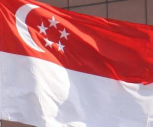 Puzzle de Bandera de Singapur