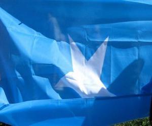 Puzzle de Bandera de Somalia