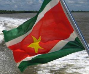 Puzzle de Bandera de Surinam