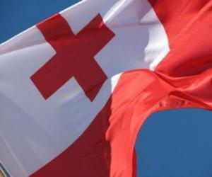 Puzzle de Bandera de Tonga