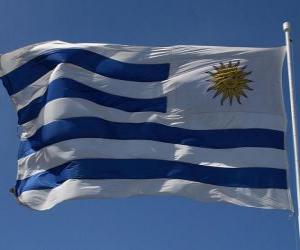 Puzzle de Bandera de Uruguay