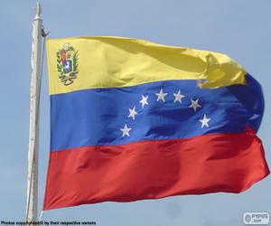 Puzzle de Bandera de Venezuela